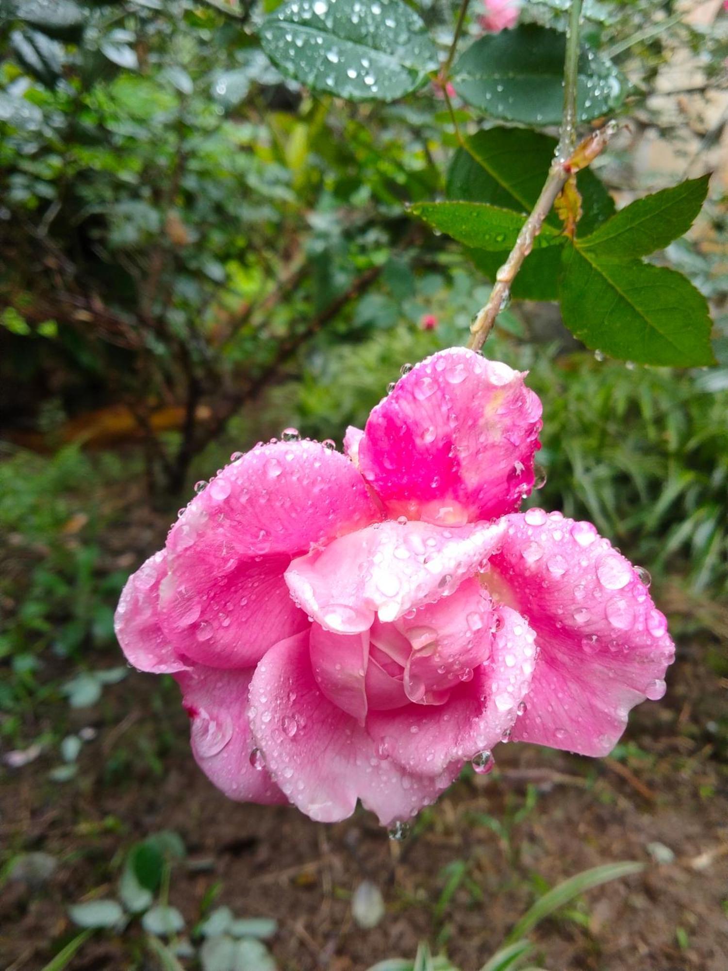 Hang Mua Eco Garden Xuan Son Luaran gambar