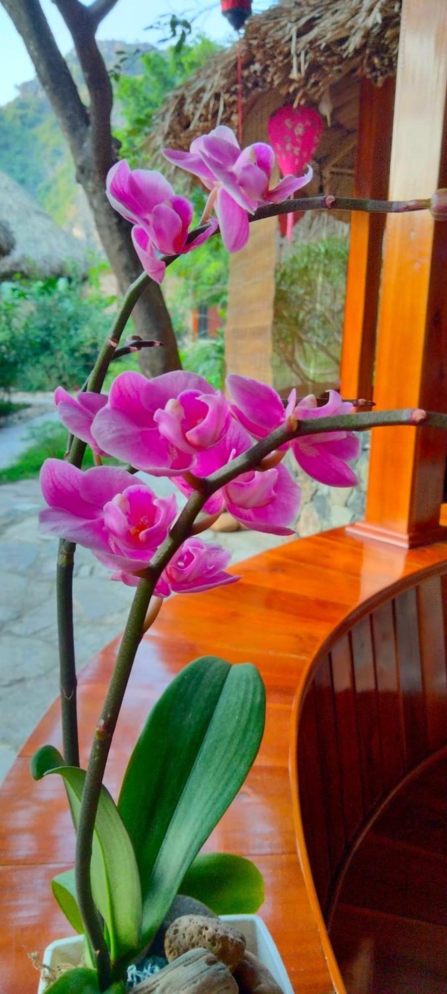 Hang Mua Eco Garden Xuan Son Luaran gambar