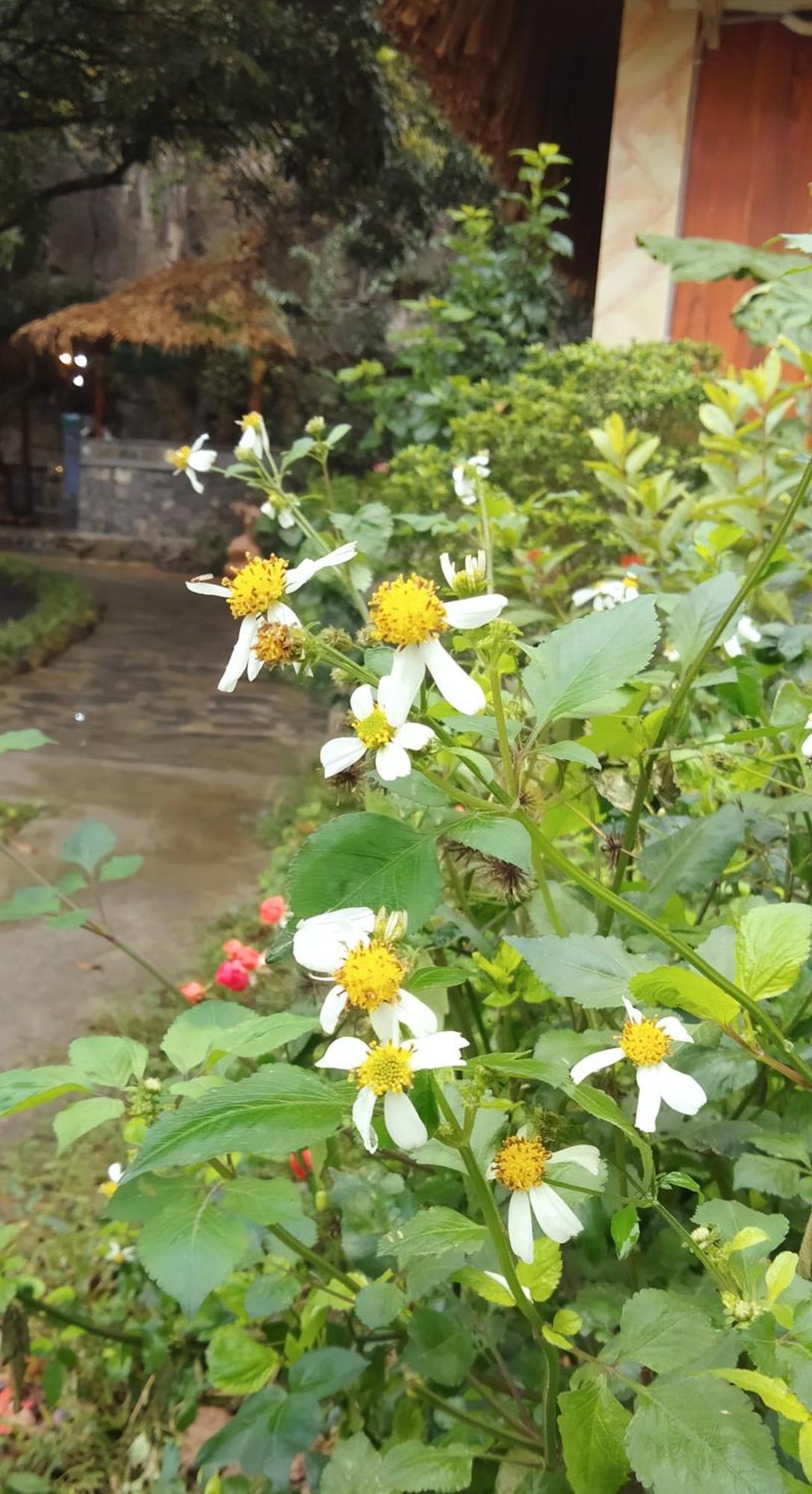 Hang Mua Eco Garden Xuan Son Luaran gambar