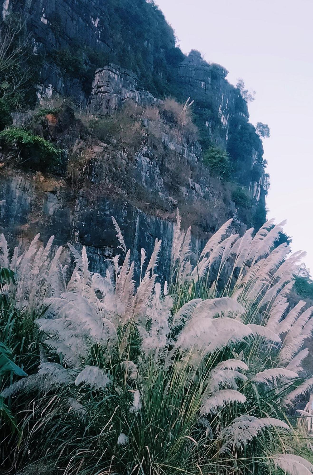 Hang Mua Eco Garden Xuan Son Luaran gambar