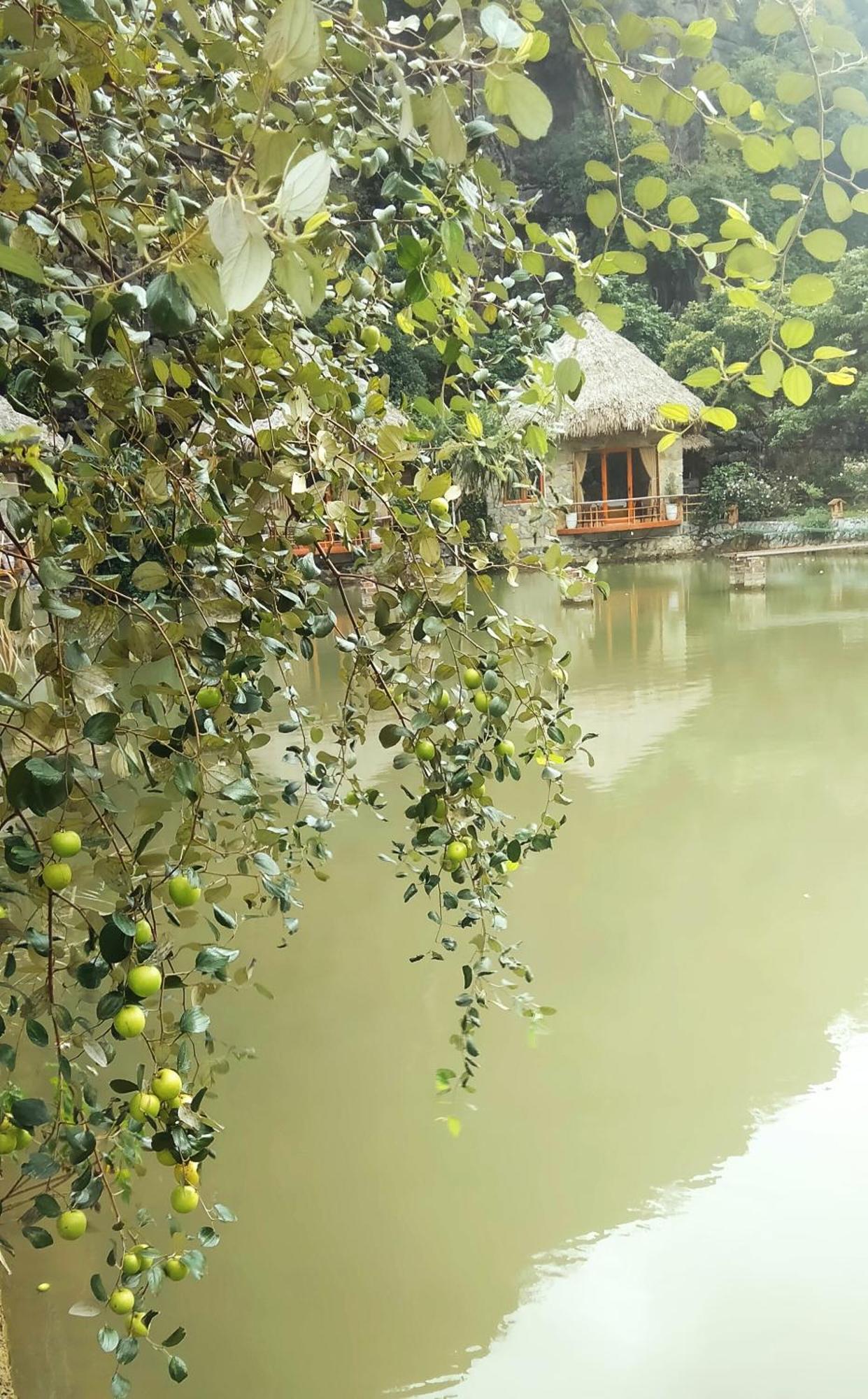 Hang Mua Eco Garden Xuan Son Luaran gambar