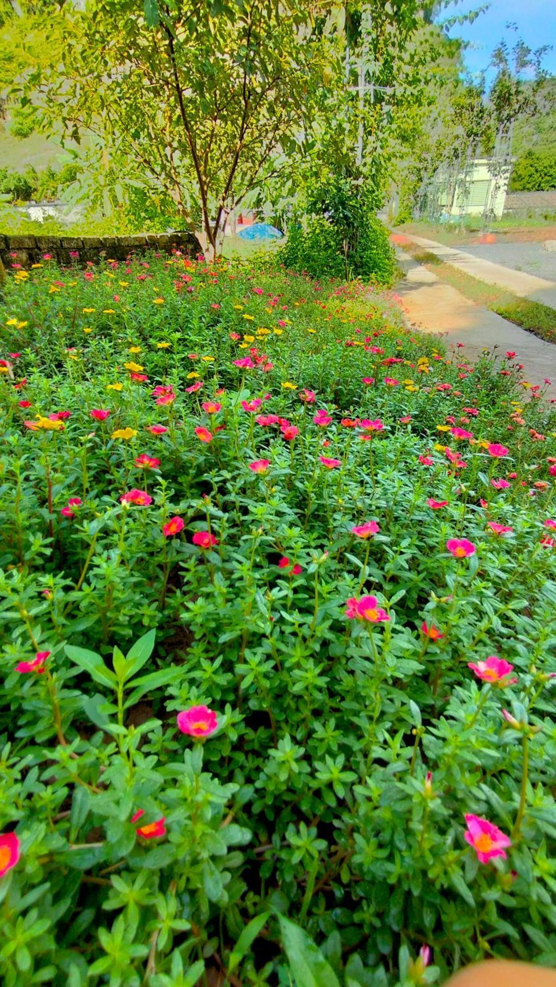 Hang Mua Eco Garden Xuan Son Luaran gambar