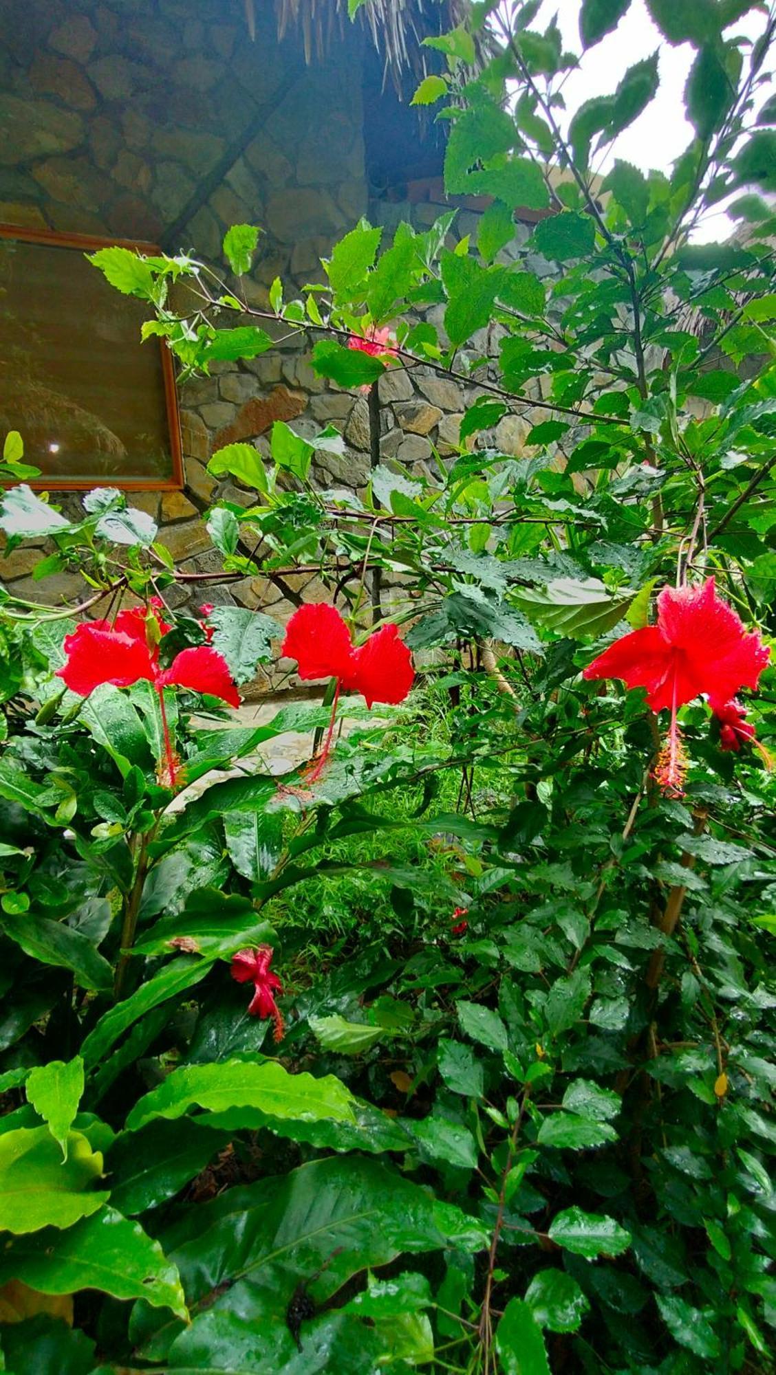 Hang Mua Eco Garden Xuan Son Luaran gambar