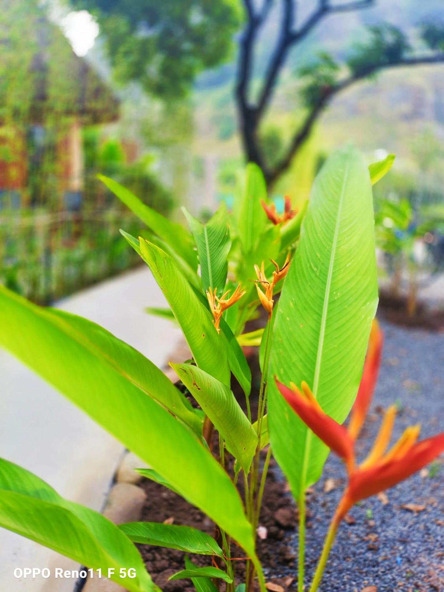 Hang Mua Eco Garden Xuan Son Luaran gambar