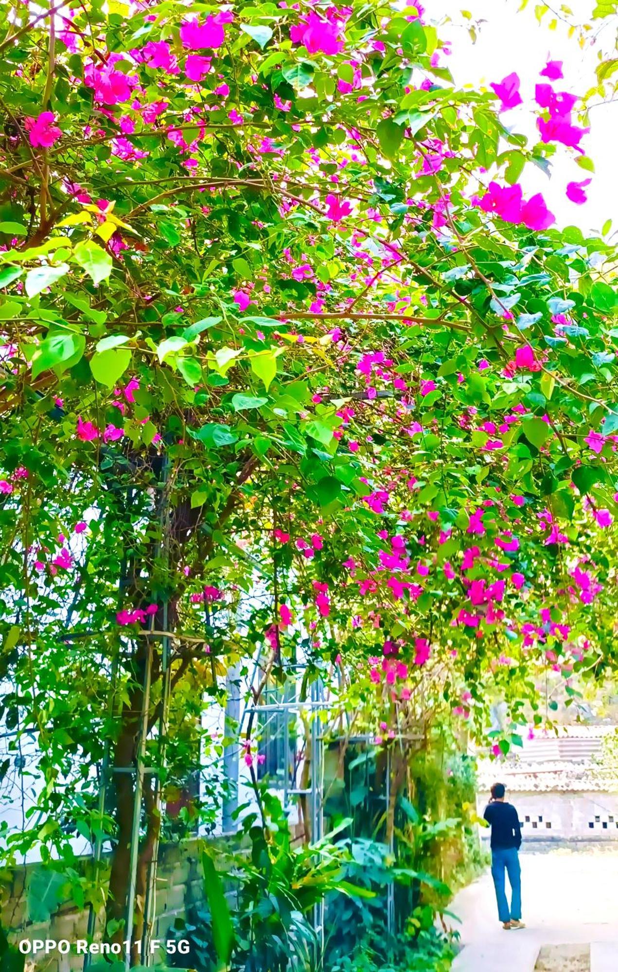Hang Mua Eco Garden Xuan Son Luaran gambar